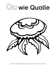 Qu-wie-Qualle-1.pdf